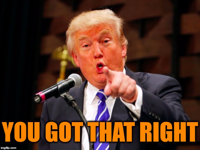 trump point | YOU GOT THAT RIGHT | image tagged in trump point | made w/ Imgflip meme maker