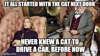 I See. What happened next? | IT ALL STARTED WITH THE CAT NEXT DOOR NEVER KNEW A CAT TO DRIVE A CAR, BEFORE NOW | image tagged in i see what happened next | made w/ Imgflip meme maker