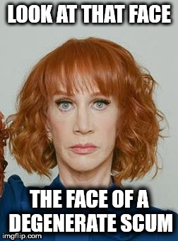 Look at that face | LOOK AT THAT FACE; THE FACE OF A DEGENERATE SCUM | image tagged in kathy griffin,look at that face,scumbag,political meme,progress left,political correctness | made w/ Imgflip meme maker