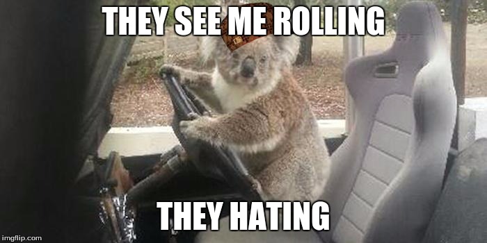 koala rolling | THEY SEE ME ROLLING; THEY HATING | image tagged in koala rolling,scumbag | made w/ Imgflip meme maker