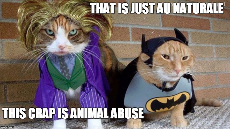 Image tagged in memes,socrates,funny,animal rights,animal meme - Imgflip