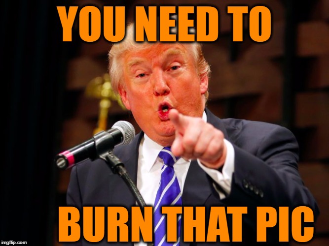 trump point | YOU NEED TO BURN THAT PIC | image tagged in trump point | made w/ Imgflip meme maker