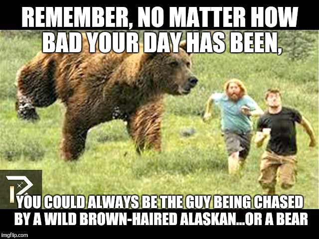 Alaskan Bear Imgflip