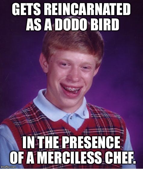 :/ | GETS REINCARNATED AS A DODO BIRD; IN THE PRESENCE OF A MERCILESS CHEF. | image tagged in memes,bad luck brian | made w/ Imgflip meme maker