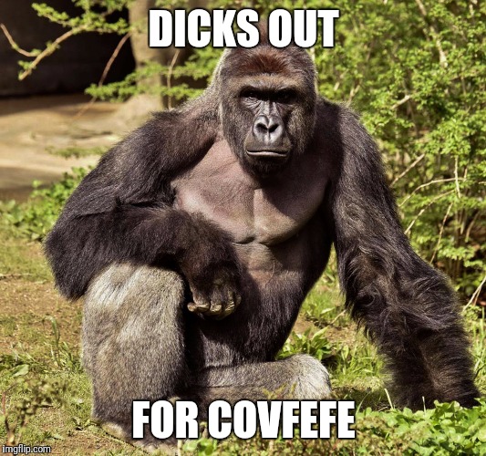 DICKS OUT; FOR COVFEFE | image tagged in harambe,memes,covfefe | made w/ Imgflip meme maker