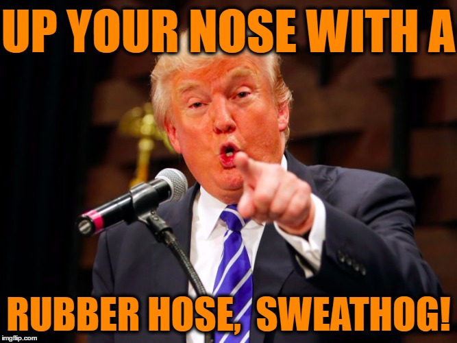 trump point | UP YOUR NOSE WITH A RUBBER HOSE,  SWEATHOG! | image tagged in trump point | made w/ Imgflip meme maker
