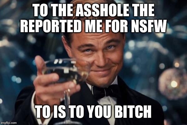 Leonardo Dicaprio Cheers Meme | TO THE ASSHOLE THE REPORTED ME FOR NSFW TO IS TO YOU B**CH | image tagged in memes,leonardo dicaprio cheers | made w/ Imgflip meme maker