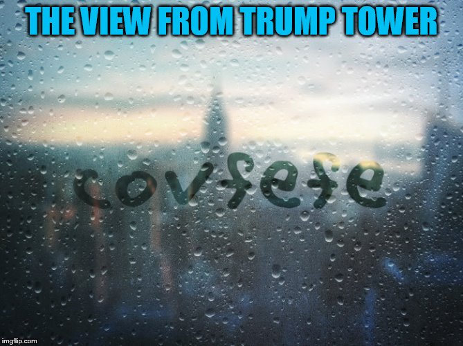 You Have To see It To Believe It! | THE VIEW FROM TRUMP TOWER | image tagged in covfefe,memes,funny,donald trump,twitter,funny memes | made w/ Imgflip meme maker