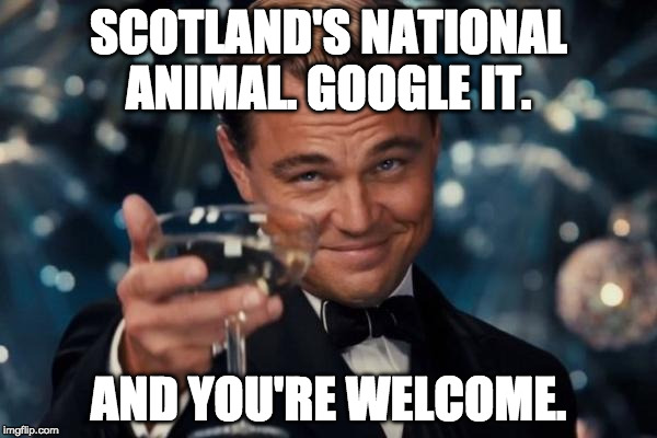 Seriously, google it. | SCOTLAND'S NATIONAL ANIMAL. GOOGLE IT. AND YOU'RE WELCOME. | image tagged in memes,leonardo dicaprio cheers,google,scotland,the new day | made w/ Imgflip meme maker