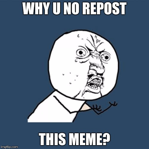 Y U No | WHY U NO REPOST; THIS MEME? | image tagged in memes,y u no | made w/ Imgflip meme maker