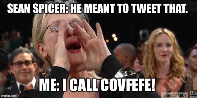 Covfefe  | SEAN SPICER: HE MEANT TO TWEET THAT. ME: I CALL COVFEFE! | image tagged in covfefe,meryl streep,donald trump | made w/ Imgflip meme maker