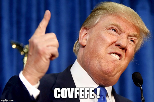 Donald Trump | COVFEFE ! | image tagged in donald trump | made w/ Imgflip meme maker