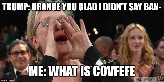 TRUMP: ORANGE YOU GLAD I DIDN'T SAY BAN-; ME: WHAT IS COVFEFE | image tagged in covfefe,donald trump | made w/ Imgflip meme maker