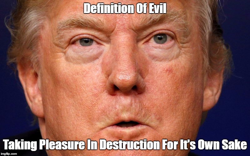 Donald Trump And "The Most Precise Definition Of Evil" | Definition Of Evil Taking Pleasure In Destruction For It's Own Sake | image tagged in despicable donald,deplorable donald,devious donald,dishonorable donald,mafia don,destructive donald | made w/ Imgflip meme maker