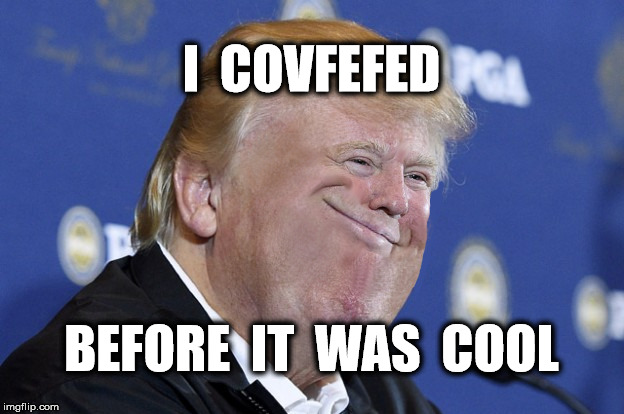 WTF AF | I  COVFEFED; BEFORE  IT  WAS  COOL | image tagged in funny,memes,covfefe,funny memes,donald trump | made w/ Imgflip meme maker