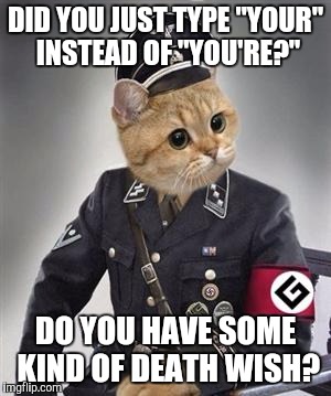 Grammar Nazi Cat | DID YOU JUST TYPE "YOUR" INSTEAD OF "YOU'RE?"; DO YOU HAVE SOME KIND OF DEATH WISH? | image tagged in grammar nazi cat | made w/ Imgflip meme maker