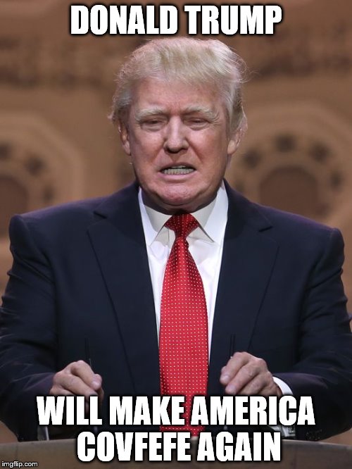 Donald Trump | DONALD TRUMP; WILL MAKE AMERICA COVFEFE AGAIN | image tagged in donald trump | made w/ Imgflip meme maker