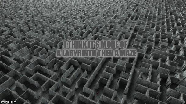 I THINK IT'S MORE OF A LABYRINTH THEN A MAZE | made w/ Imgflip meme maker