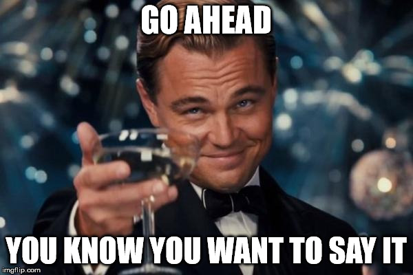 Leonardo Dicaprio Cheers Meme | GO AHEAD YOU KNOW YOU WANT TO SAY IT | image tagged in memes,leonardo dicaprio cheers | made w/ Imgflip meme maker