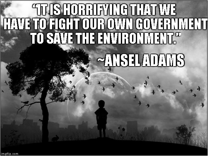 Smog | “IT IS HORRIFYING THAT WE HAVE TO FIGHT OUR OWN GOVERNMENT TO SAVE THE ENVIRONMENT.”; ~ANSEL ADAMS | image tagged in ansel adams,environment,conservation,paris climate,pollution | made w/ Imgflip meme maker
