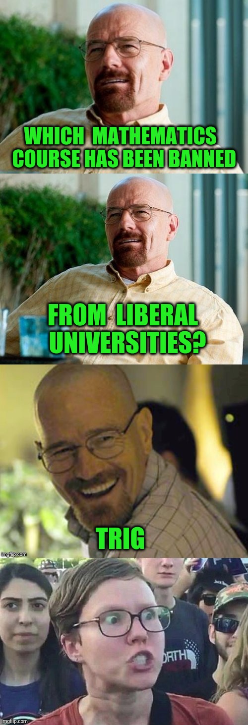 Breaking Bad equations | WHICH  MATHEMATICS  COURSE HAS BEEN BANNED; FROM  LIBERAL  UNIVERSITIES? TRIG | image tagged in triggered,college liberal,liberal,breaking bad,math | made w/ Imgflip meme maker
