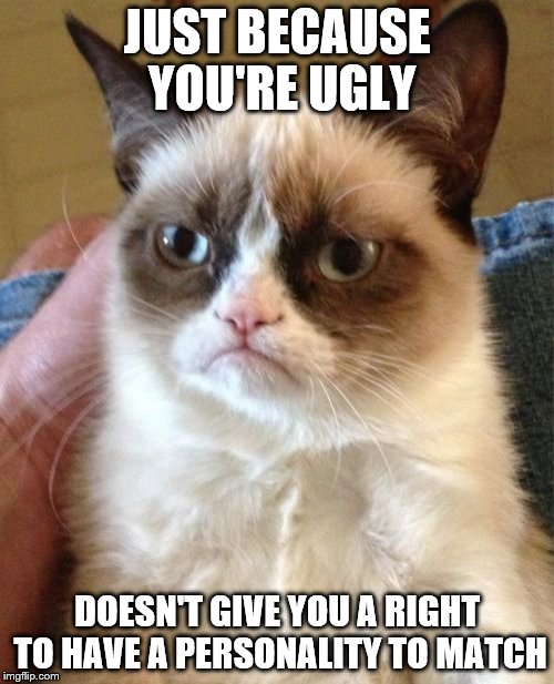Grumpy Cat | JUST BECAUSE YOU'RE UGLY; DOESN'T GIVE YOU A RIGHT TO HAVE A PERSONALITY TO MATCH | image tagged in memes,grumpy cat | made w/ Imgflip meme maker