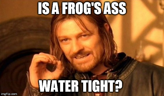 One Does Not Simply | IS A FROG'S ASS; WATER TIGHT? | image tagged in memes,one does not simply | made w/ Imgflip meme maker