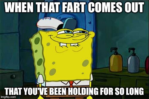 Don't You Squidward | WHEN THAT FART COMES OUT; THAT YOU'VE BEEN HOLDING FOR SO LONG | image tagged in memes,dont you squidward | made w/ Imgflip meme maker
