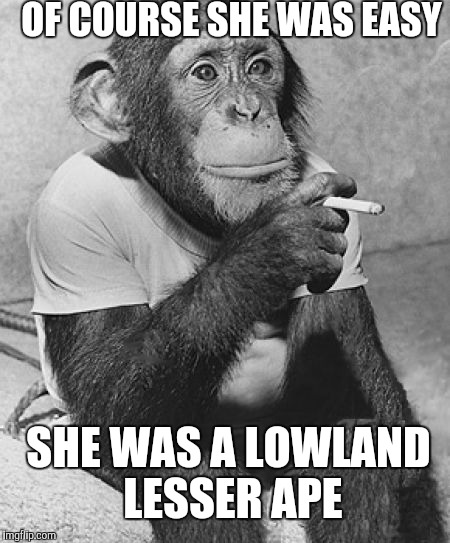 Smoking Chimpanzee | OF COURSE SHE WAS EASY; SHE WAS A LOWLAND LESSER APE | image tagged in smoking chimpanzee,memes | made w/ Imgflip meme maker