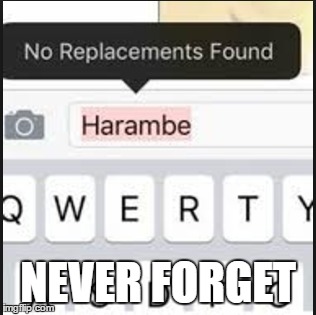 no replacements found | NEVER FORGET | image tagged in harambe,funny memes | made w/ Imgflip meme maker