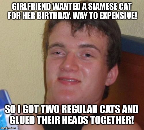 Siamese cat Siamese twin cat | GIRLFRIEND WANTED A SIAMESE CAT FOR HER BIRTHDAY. WAY TO EXPENSIVE! SO I GOT TWO REGULAR CATS AND GLUED THEIR HEADS TOGETHER! | image tagged in memes,10 guy,funny | made w/ Imgflip meme maker