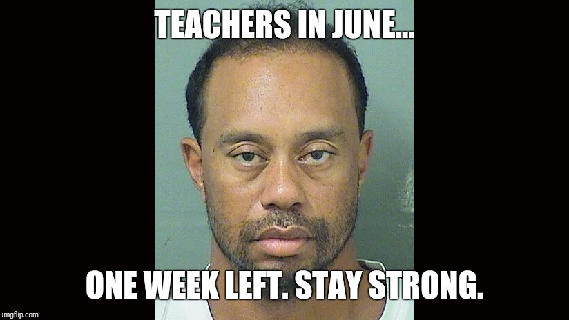 Teachers in June | TEACHERS IN JUNE... ONE WEEK LEFT. STAY STRONG. | image tagged in tiger woods | made w/ Imgflip meme maker