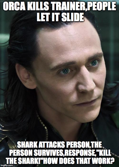 Nice Guy Loki | ORCA KILLS TRAINER,PEOPLE LET IT SLIDE; SHARK ATTACKS PERSON,THE PERSON SURVIVES,RESPONSE,"KILL THE SHARK!"HOW DOES THAT WORK? | image tagged in memes,nice guy loki | made w/ Imgflip meme maker