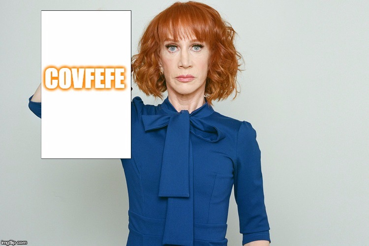 Image result for kathy griffin meme