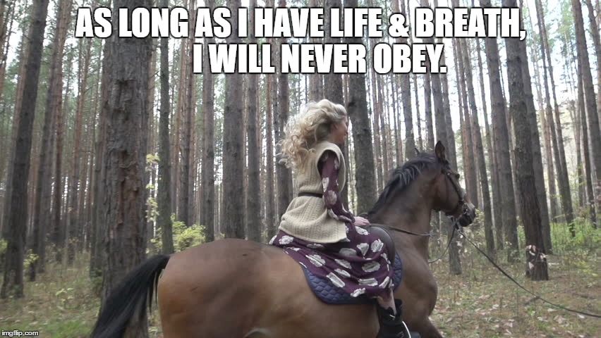 I WILL NEVER OBEY. | AS LONG AS I HAVE LIFE & BREATH,      I WILL NEVER OBEY. | image tagged in obey | made w/ Imgflip meme maker
