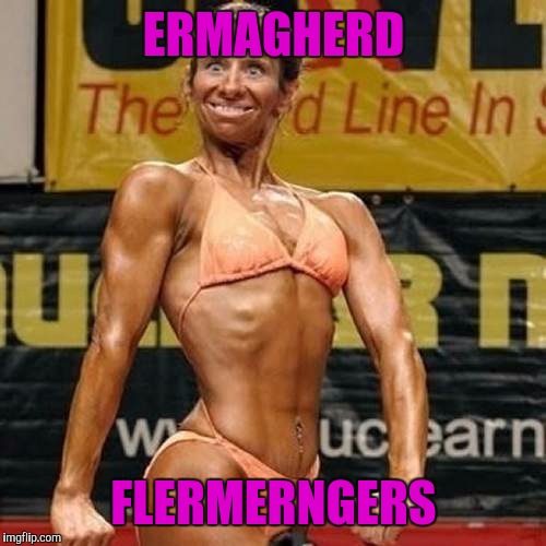 Ermegherd | ERMAGHERD FLERMERNGERS | image tagged in ermegherd | made w/ Imgflip meme maker