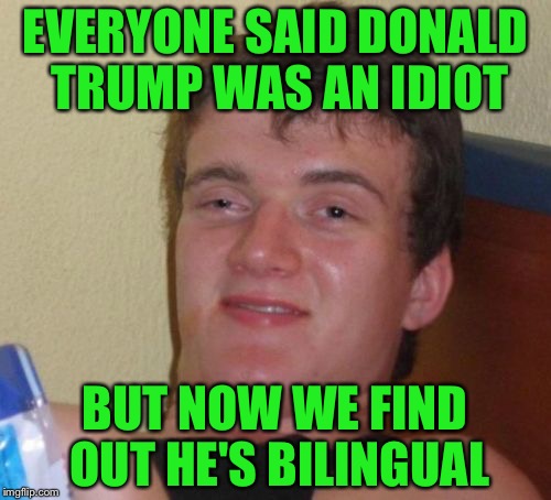 10 Guy Meme | EVERYONE SAID DONALD TRUMP WAS AN IDIOT; BUT NOW WE FIND OUT HE'S BILINGUAL | image tagged in memes,10 guy | made w/ Imgflip meme maker