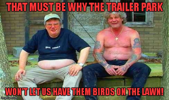 THAT MUST BE WHY THE TRAILER PARK WON'T LET US HAVE THEM BIRDS ON THE LAWN! | made w/ Imgflip meme maker