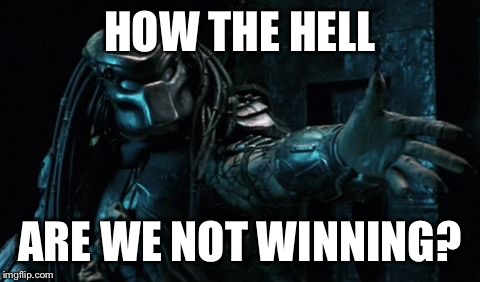 HOW THE HELL; ARE WE NOT WINNING? | image tagged in darrin hayes | made w/ Imgflip meme maker