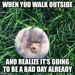 WHEN YOU WALK OUTSIDE; AND REALIZE IT'S GOING TO BE A BAD DAY ALREADY | image tagged in memes | made w/ Imgflip meme maker