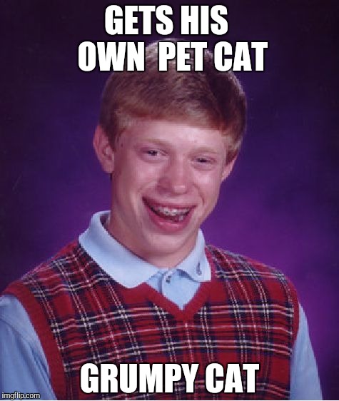 Bad Luck Brian Meme | GETS HIS  OWN  PET CAT; GRUMPY CAT | image tagged in memes,bad luck brian | made w/ Imgflip meme maker