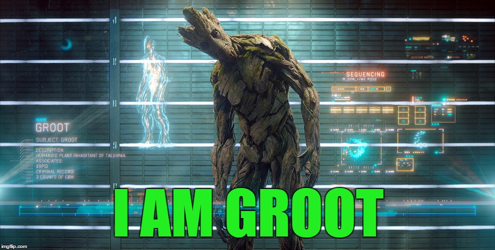 I AM GROOT | made w/ Imgflip meme maker