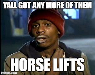 Y'all Got Any More Of That Meme | YALL GOT ANY MORE OF THEM HORSE LIFTS | image tagged in memes,yall got any more of | made w/ Imgflip meme maker