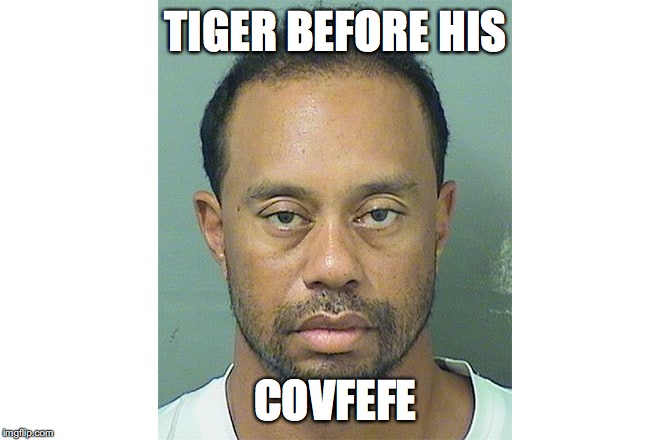 TIGER BEFORE HIS; COVFEFE | image tagged in covfefe,tiger woods,donald trump | made w/ Imgflip meme maker