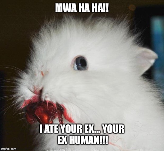 Rabbit Cherry | MWA HA HA!! I ATE YOUR EX...
YOUR EX HUMAN!!! | image tagged in rabbit cherry,memes,donald trump | made w/ Imgflip meme maker