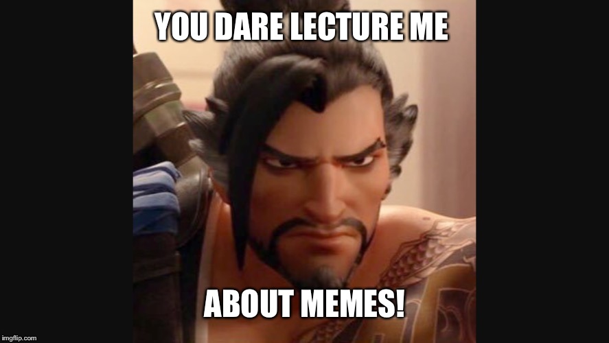 YOU DARE LECTURE ME; ABOUT MEMES! | image tagged in memes | made w/ Imgflip meme maker