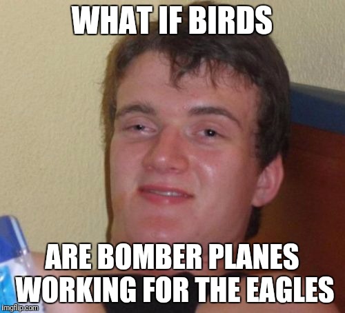 10 Guy | WHAT IF BIRDS; ARE BOMBER PLANES WORKING FOR THE EAGLES | image tagged in memes,10 guy | made w/ Imgflip meme maker