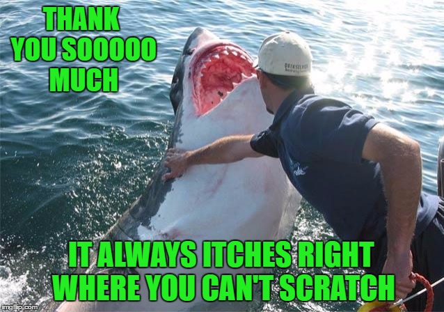 That feeling when you finally get that itch scratched!!! | THANK YOU SOOOOO MUCH; IT ALWAYS ITCHES RIGHT WHERE YOU CAN'T SCRATCH | image tagged in shark soother,memes,shark,funny,itches,animals | made w/ Imgflip meme maker