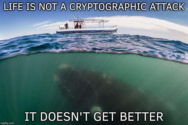 Quod Erat Demonstrandum | LIFE IS NOT A CRYPTOGRAPHIC ATTACK; IT DOESN'T GET BETTER | image tagged in fishing for whales,memes,funny,life,attack | made w/ Imgflip meme maker