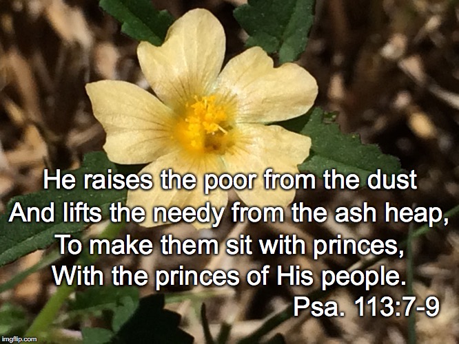 He raises the poor from the dust; And lifts the needy from the ash heap, To make them sit with princes, With the princes of His people. Psa. 113:7-9 | image tagged in princes | made w/ Imgflip meme maker